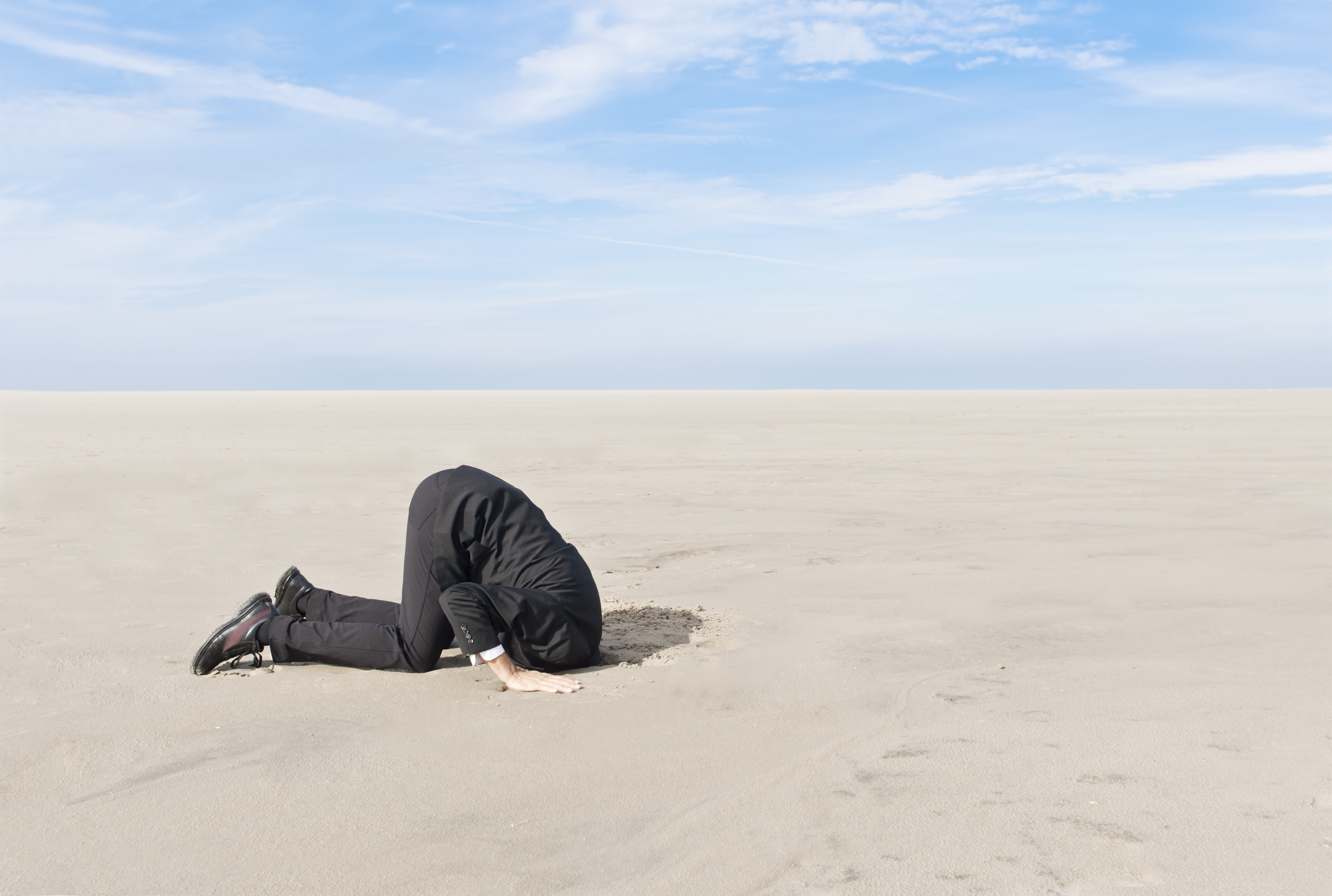 "A business man, hiding his head in the sand. XXL size image."